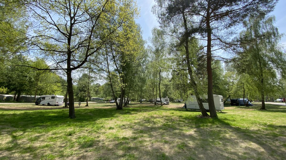 CampingPlatz Ecktannen Bereich 1 C