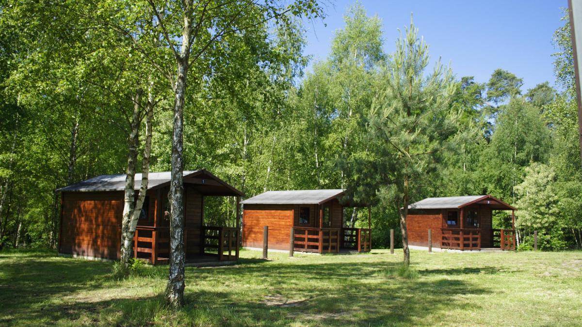 Campingplatz Ecktannen Blockhütte Müritz Nationalpark günstig Familie übernachten Unterkünfte Radfahrer